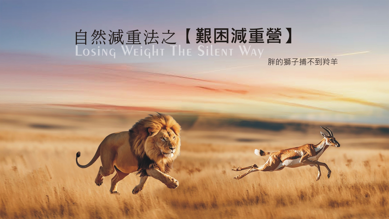 企業團體每年體檢之後該做什麼？：1. 每年的體檢我只能望著紅字跑著操場、減少飲食，我還能怎麼辦？
2. 協會看到了企業主和員工的需求，特為企業辦理「艱困減重營」
3. 針對人群：容易腹胖、體檢有紅字、腰圍過大、精神不佳、長感疲勞、三高者等人群辦理
4. 可參考「自然減重法之艱困減重營」粉絲專頁活動
5. 歡迎企業團體與本協會洽談辦理企業專屬個性化營隊模式。
